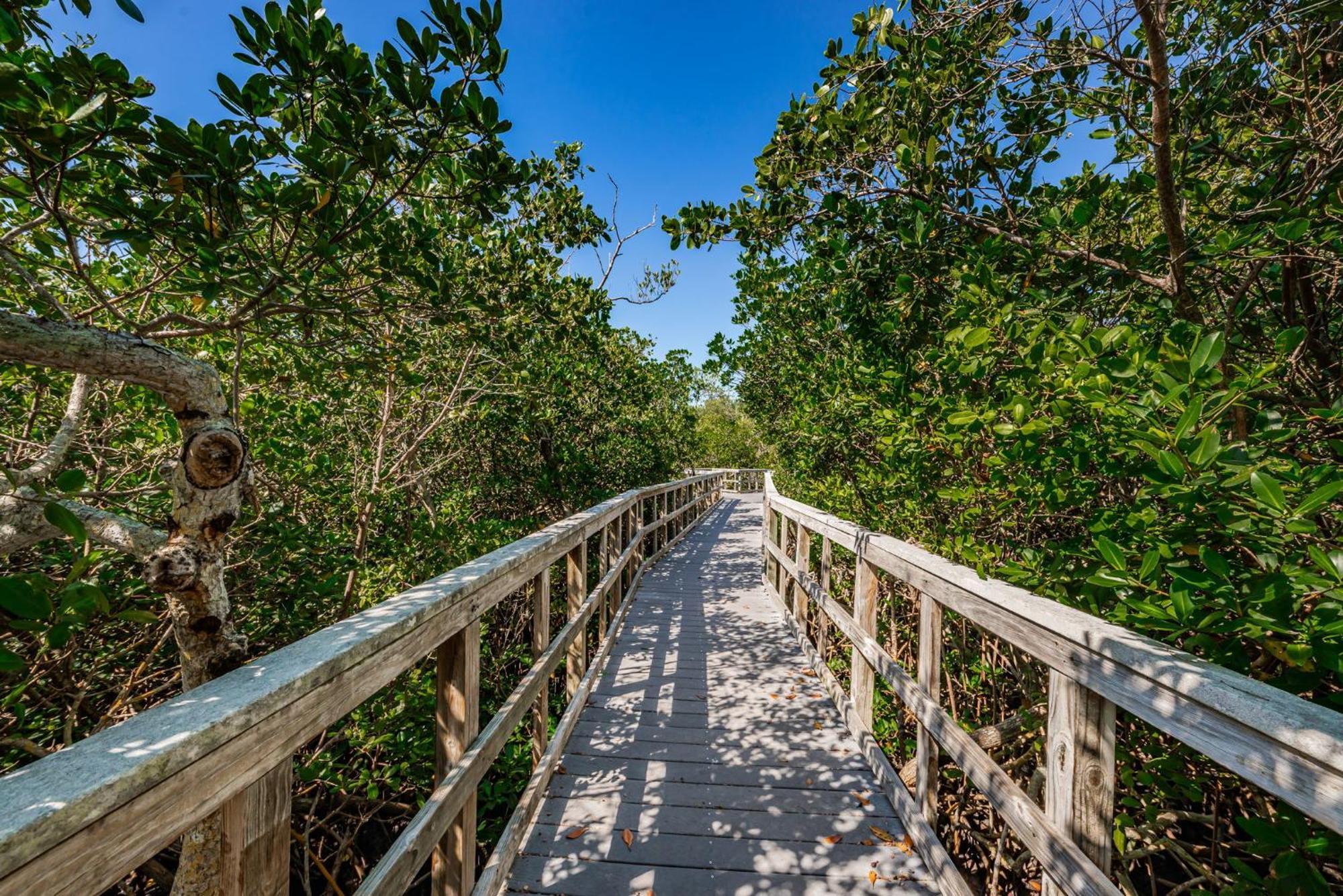 Sandcastle North Unit #403 Clearwater Beach Exterior photo